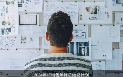 2024年IT销售年终总结及计划