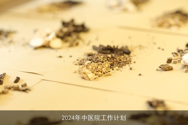 2024年中医院工作计划