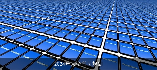 2024年大学学习规划