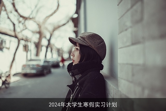 2024年大学生寒假实习计划