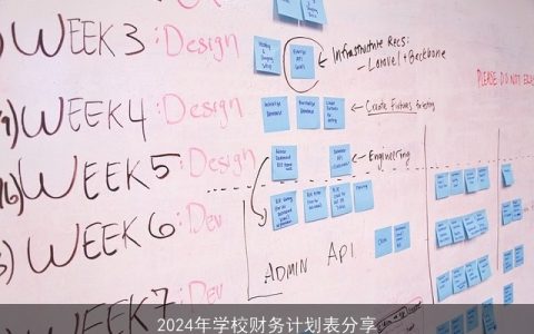 2024年学校财务计划表分享