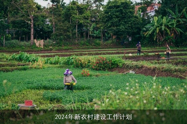 2024年新农村建设工作计划