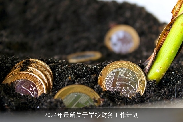 2024年最新关于学校财务工作计划