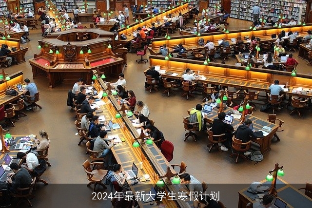 2024年最新大学生寒假计划