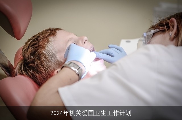 2024年机关爱国卫生工作计划