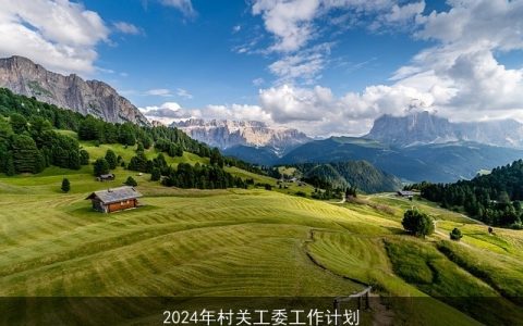 2024年村关工委工作计划