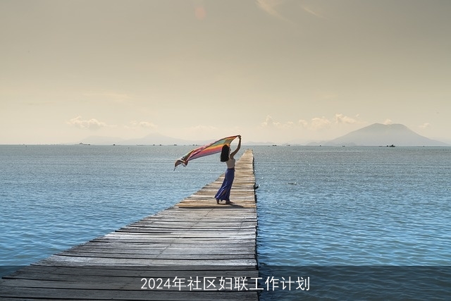 2024年社区妇联工作计划