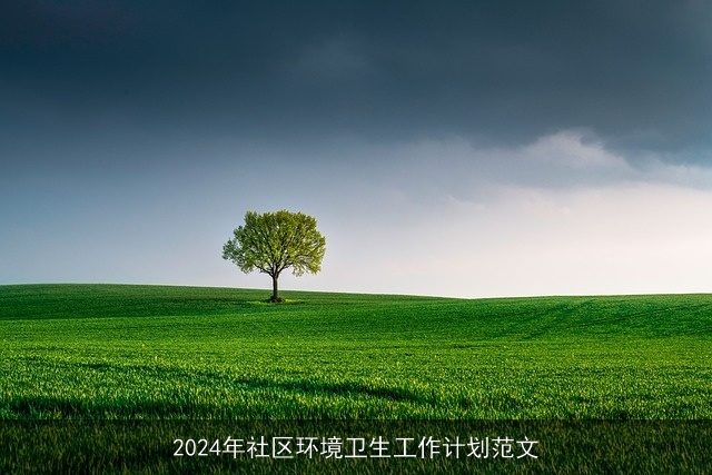 2024年社区环境卫生工作计划范文