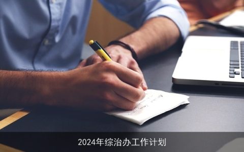 2024年综治办工作计划