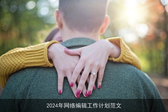 2024年网络编辑工作计划范文