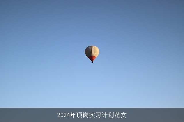 2024年顶岗实习计划范文