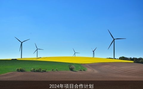 2024年项目合作计划