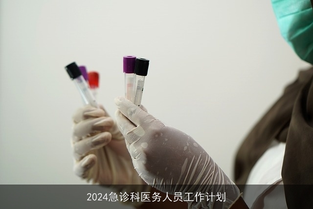 2024急诊科医务人员工作计划