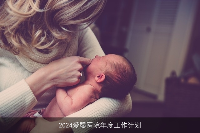 2024爱婴医院年度工作计划