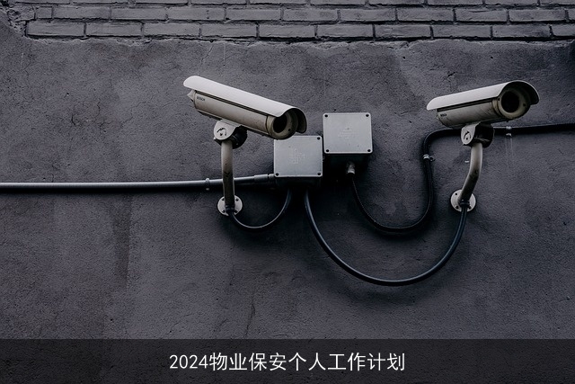 2024物业保安个人工作计划