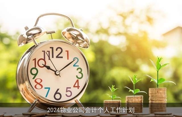 2024物业公司会计个人工作计划