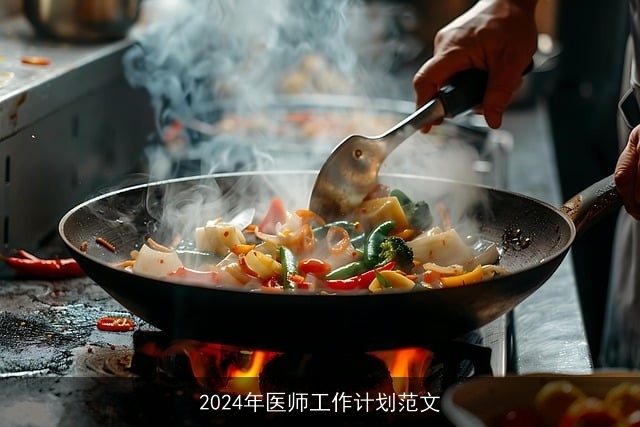 2024年医师工作计划范文