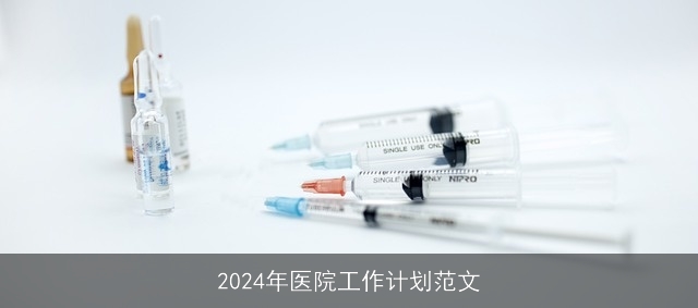 2024年医院工作计划范文