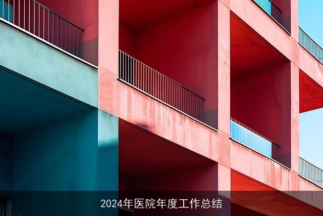 2024年医院年度工作总结