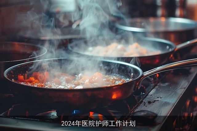 2024年医院护师工作计划