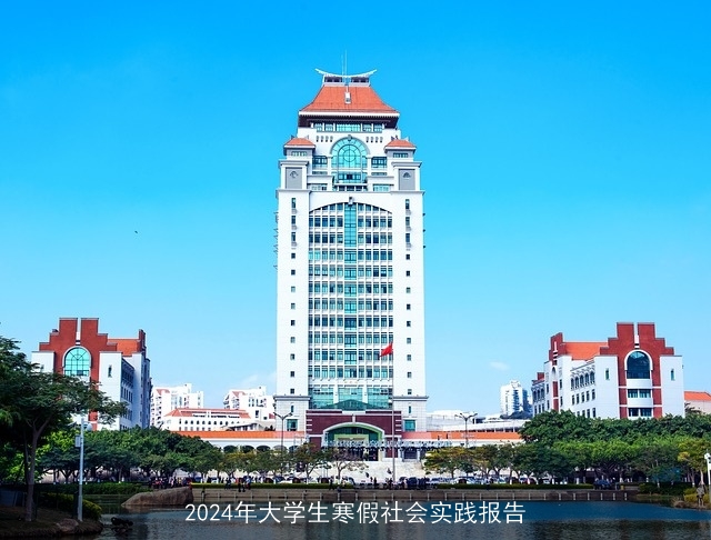 2024年大学生寒假社会实践报告