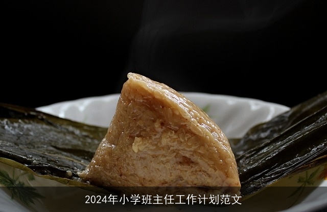 2024年小学班主任工作计划范文