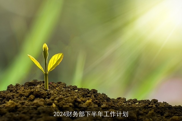 2024财务部下半年工作计划