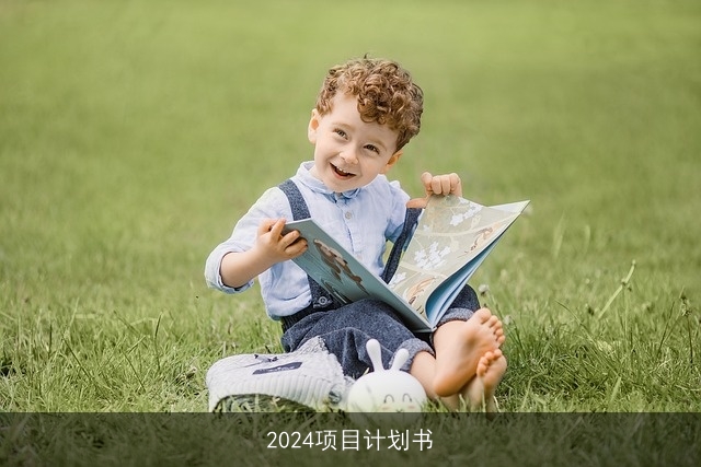 2024项目计划书