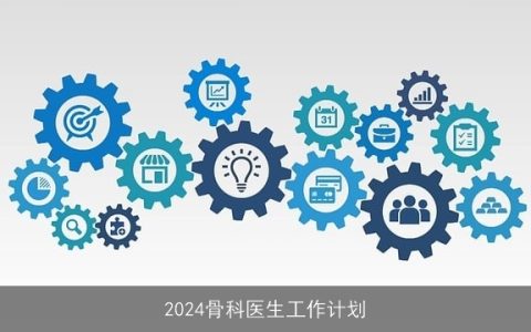 2024骨科医生工作计划