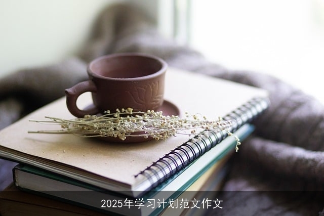 2025年学习计划范文作文