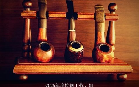 2025年度控烟工作计划