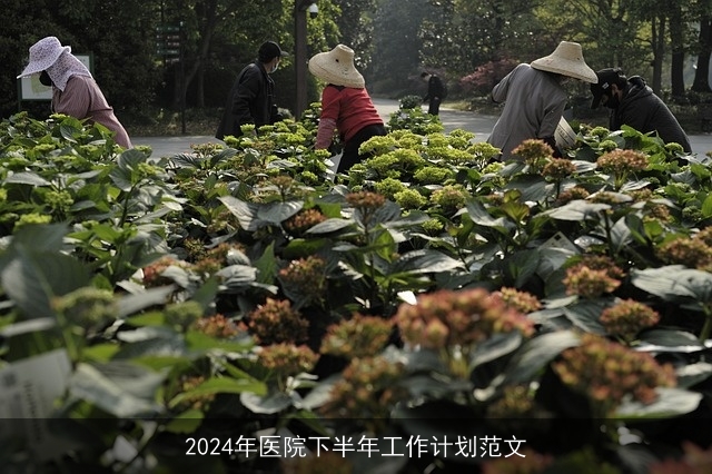 2024年医院下半年工作计划范文