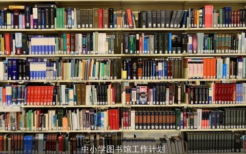 中小学图书馆工作计划