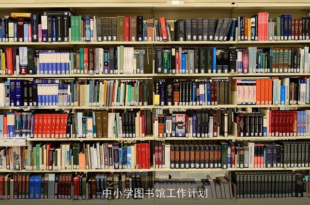 中小学图书馆工作计划