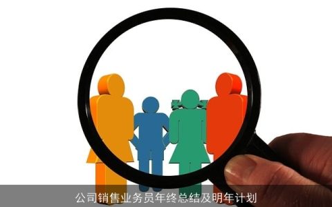 公司销售业务员年终总结及明年计划