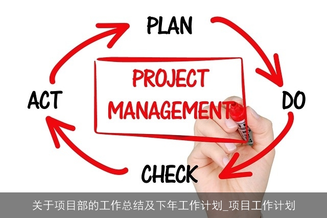 关于项目部的工作总结及下年工作计划_项目工作计划