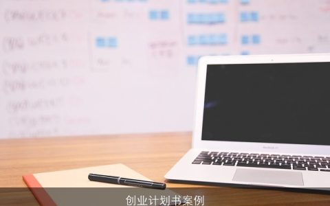 创业计划书案例