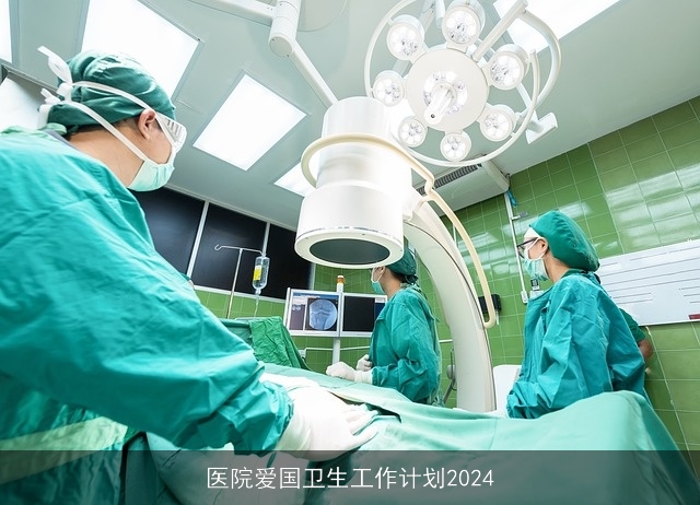 医院爱国卫生工作计划2024