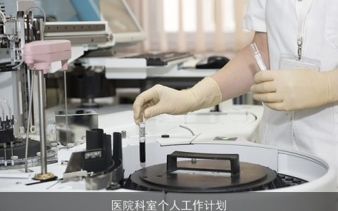 医院科室个人工作计划