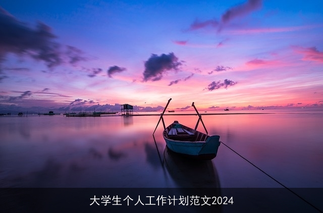 大学生个人工作计划范文2024