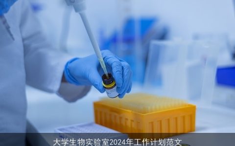 大学生物实验室2024年工作计划范文