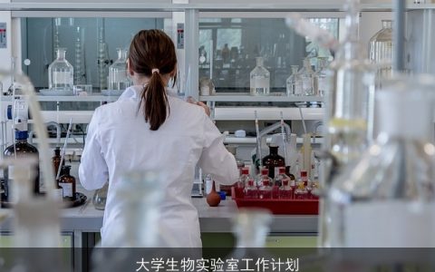 大学生物实验室工作计划