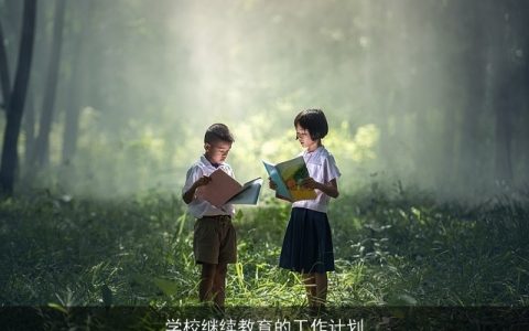 学校继续教育的工作计划