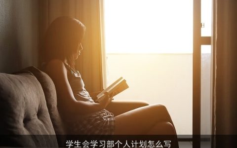 学生会学习部个人计划怎么写