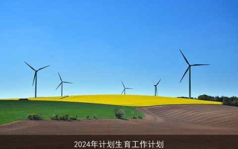 2024年计划生育工作计划