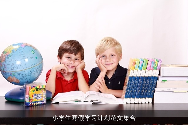 小学生寒假学习计划范文集合