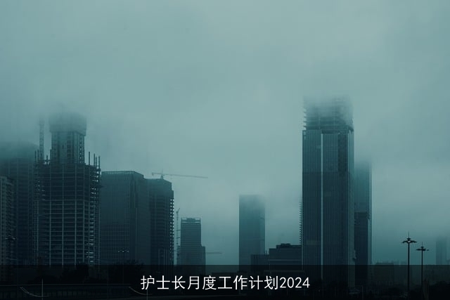 护士长月度工作计划2024