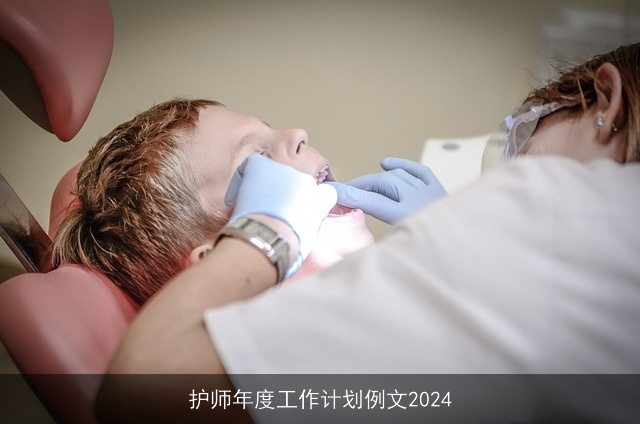 护师年度工作计划例文2024