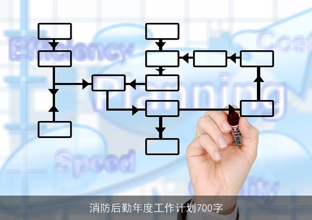 消防后勤年度工作计划700字