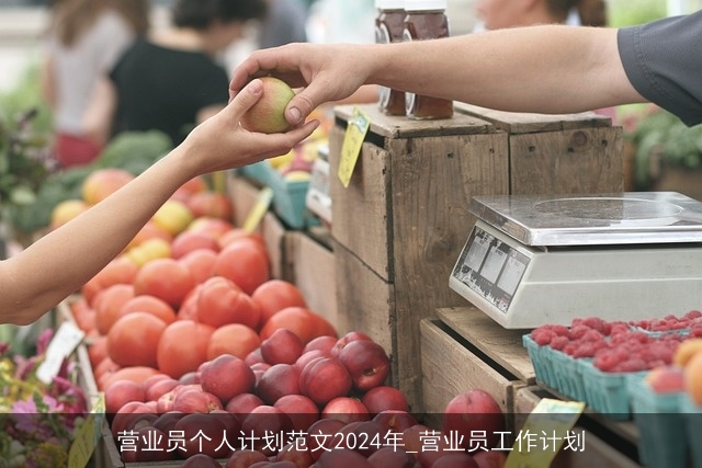 营业员个人计划范文2024年_营业员工作计划